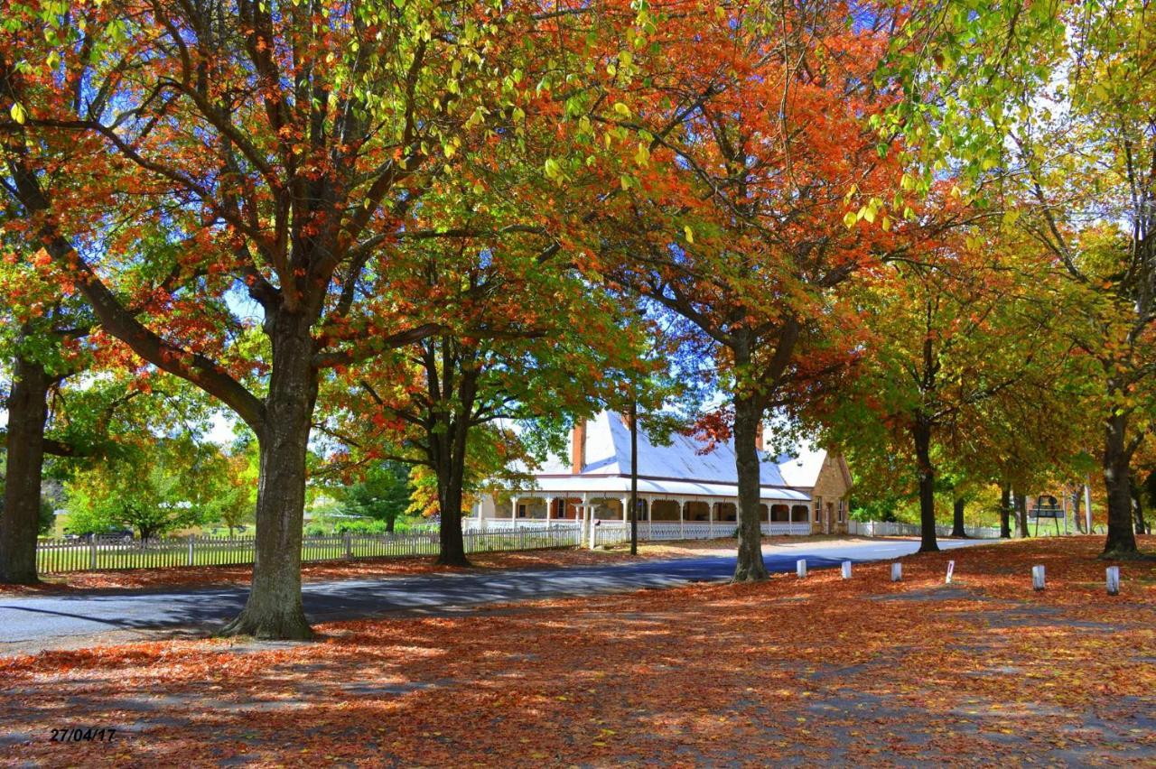 Settlers Motor Inn Tenterfield Dış mekan fotoğraf